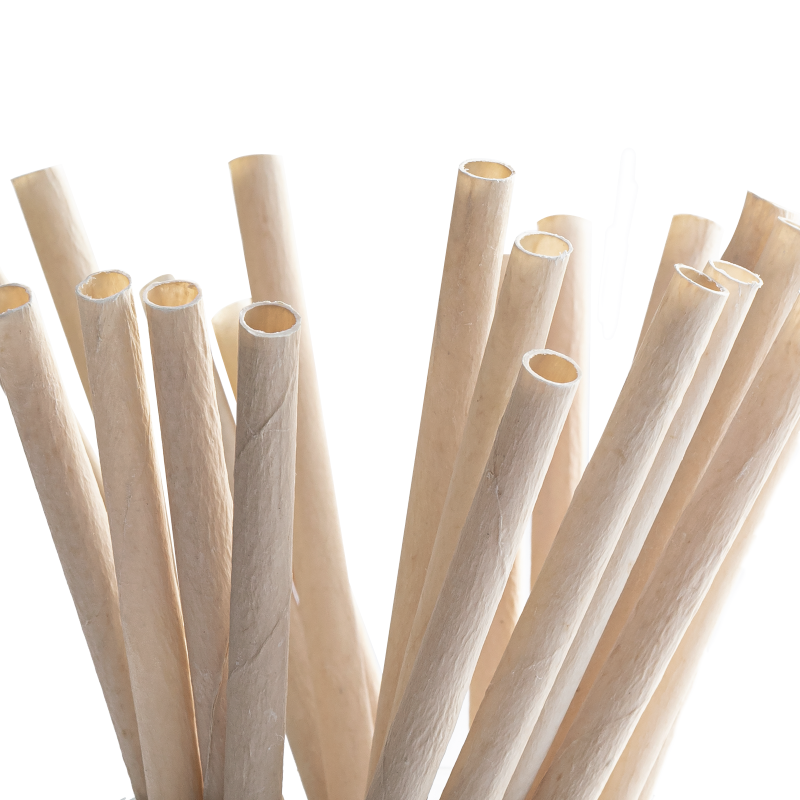 Coconut Drinking Straws